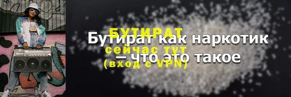 сатива Няндома