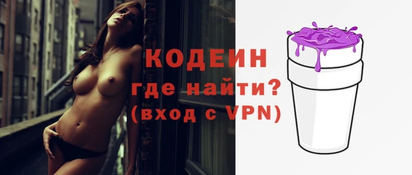 сатива Няндома