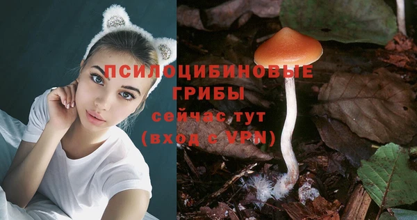 метадон Нягань